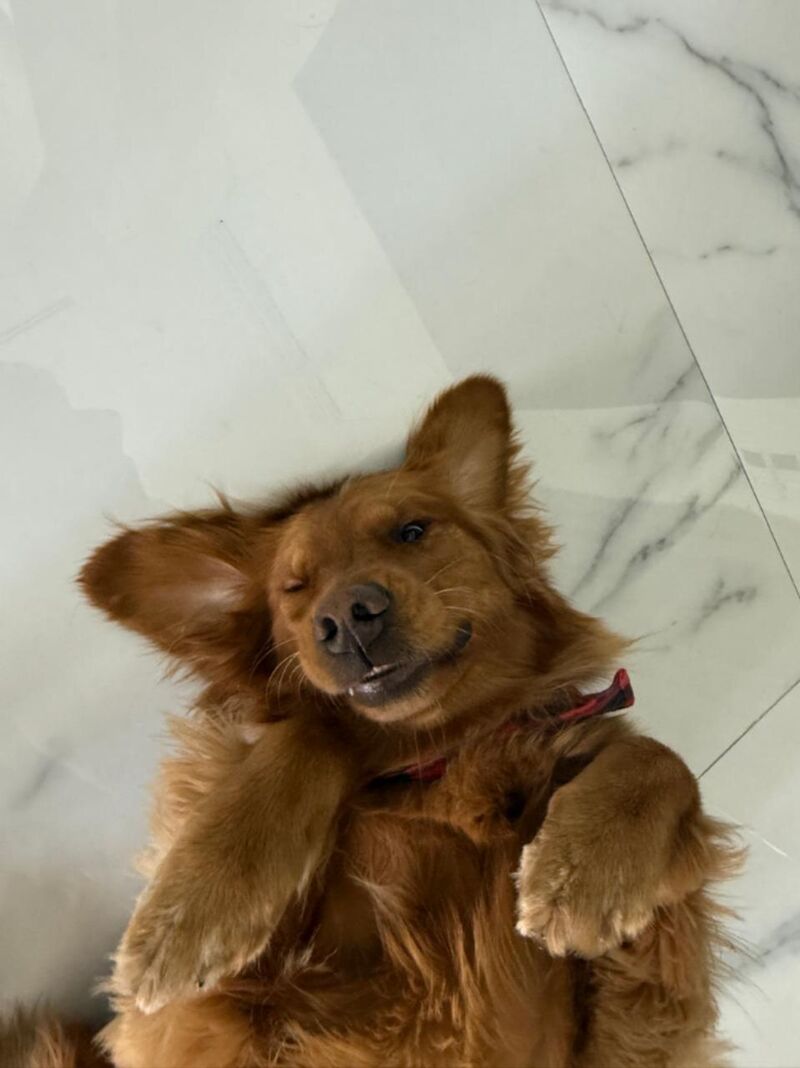 She wants to say hi!