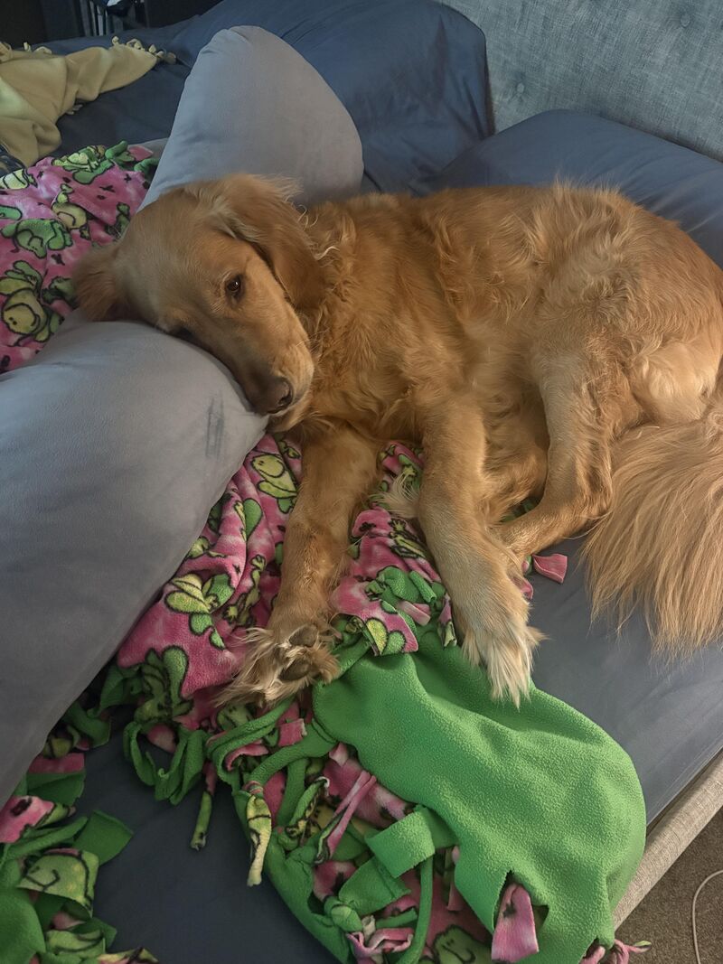 I’m struggling ….