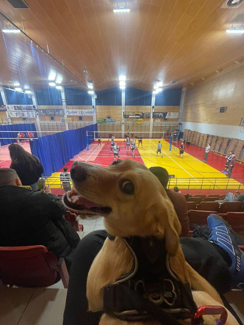 Watching volleyball game together <3