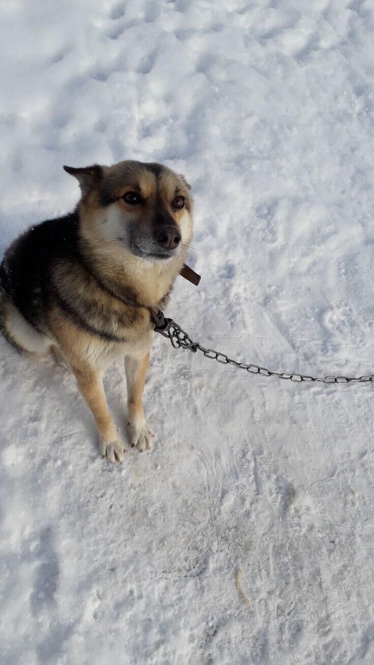 Her name is Mila 🥰