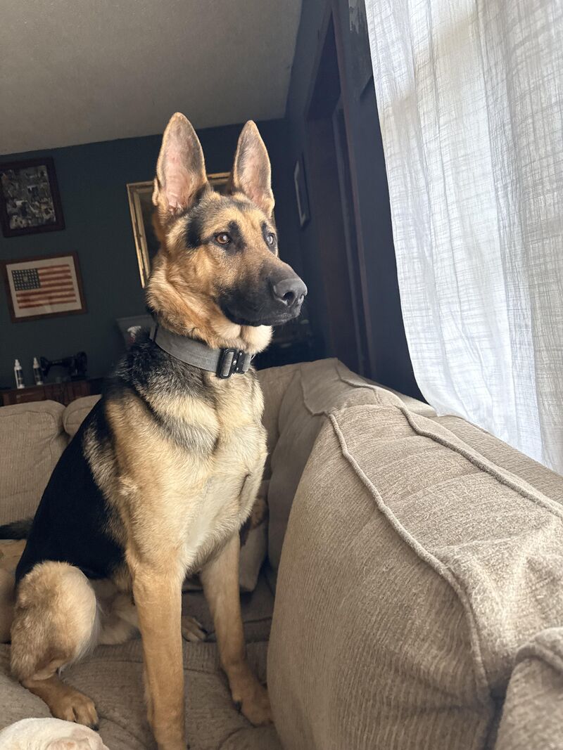 Isn’t he so handsome??