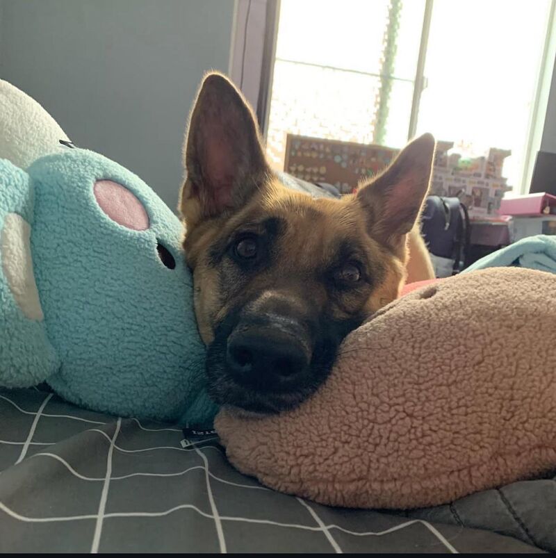 My 6 year old girl, Scout. Love’s the camera.