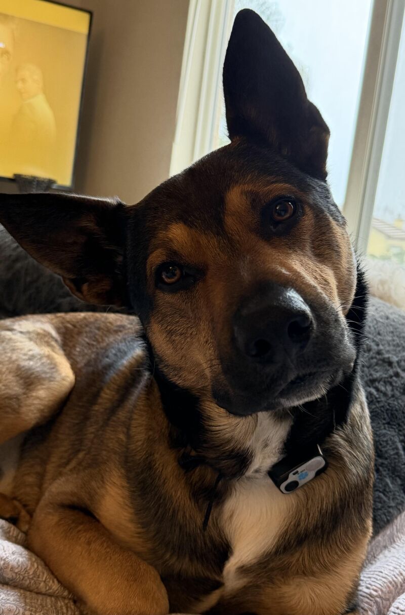 Where’s my Treats MFer?