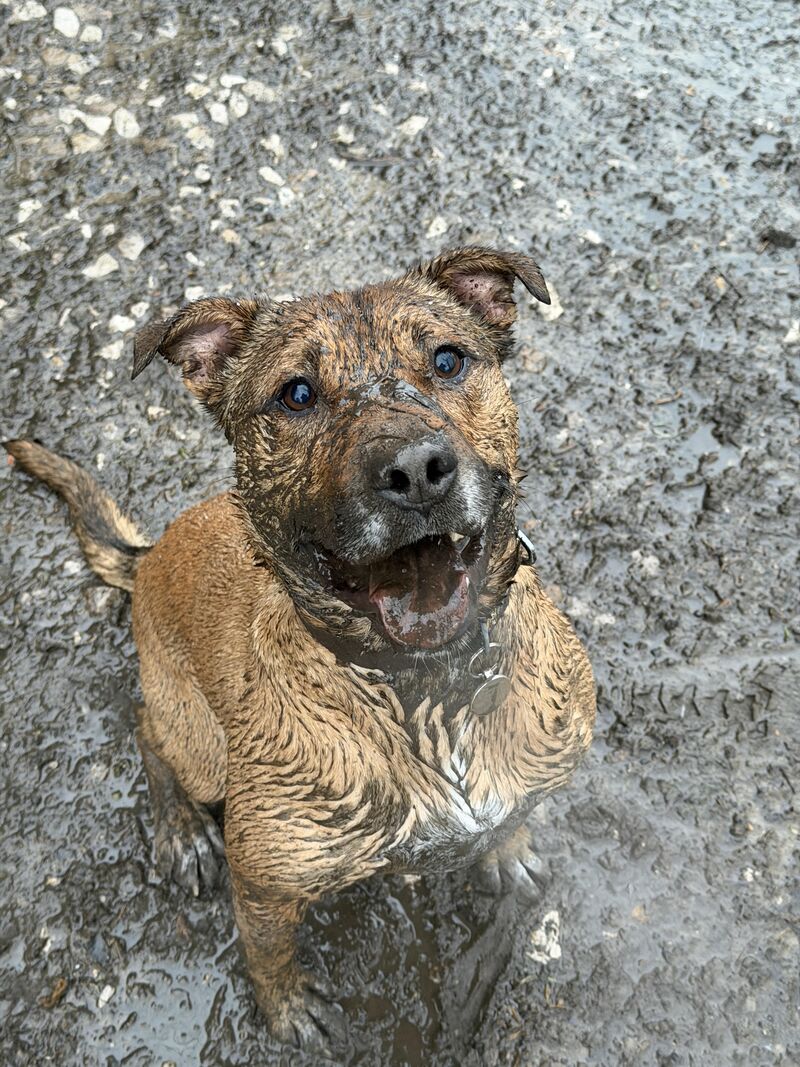 This sums up the weather in the UK the last few weeks.