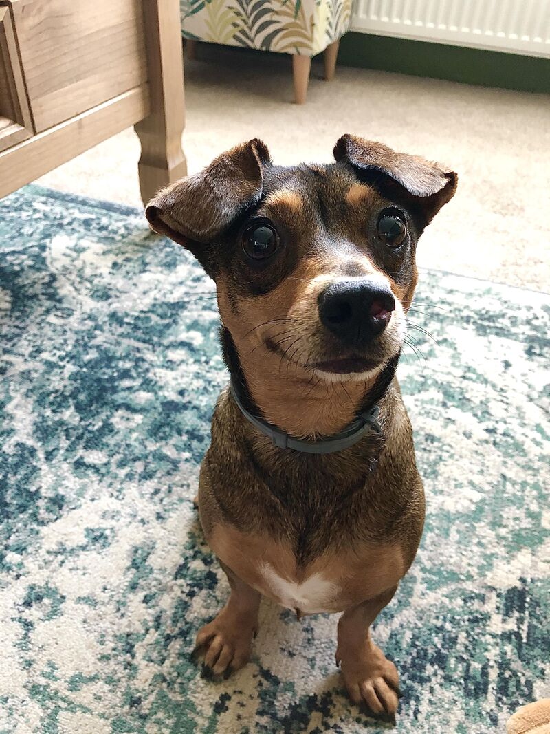 ✨looking like a Disney character ✨