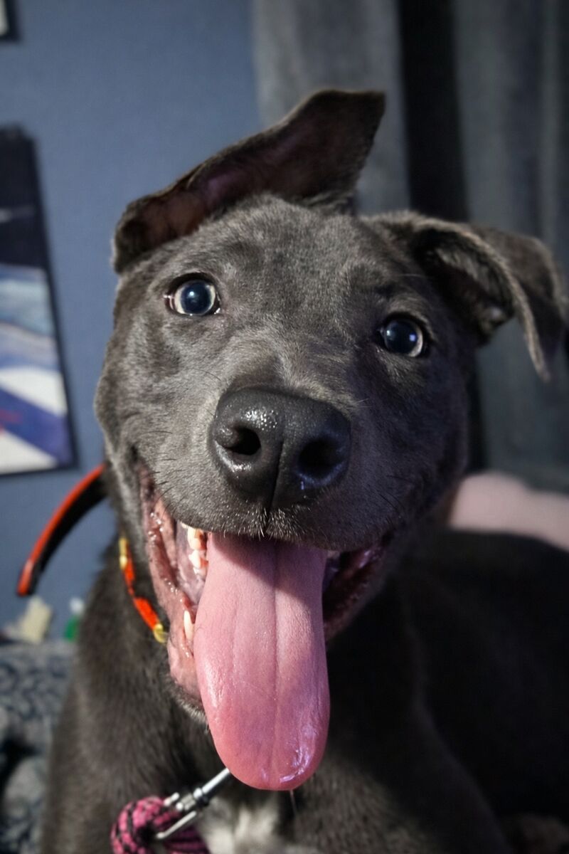 My little girl says hi. Her name is Bonnie