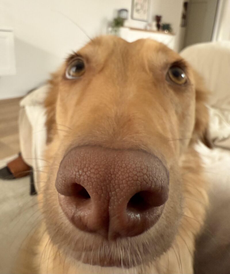 Can i get some food ?😂