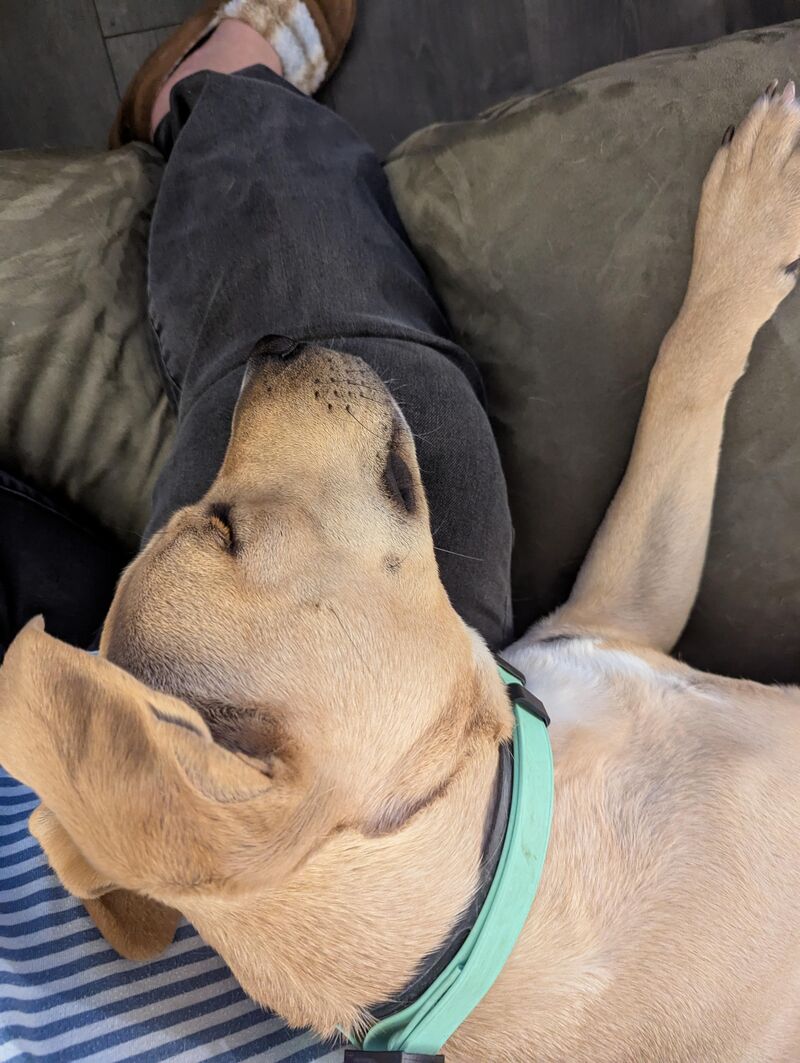 Too tired, must conk out