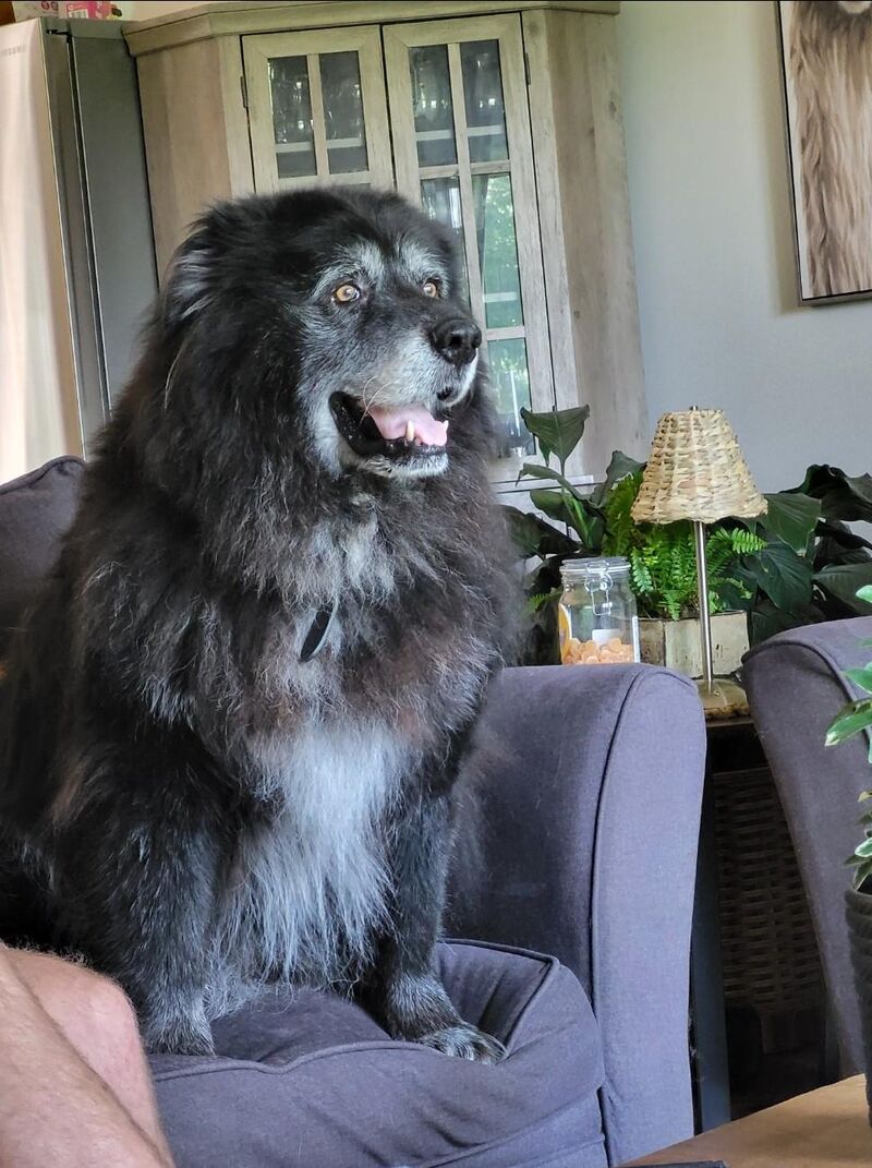 He is always on duty