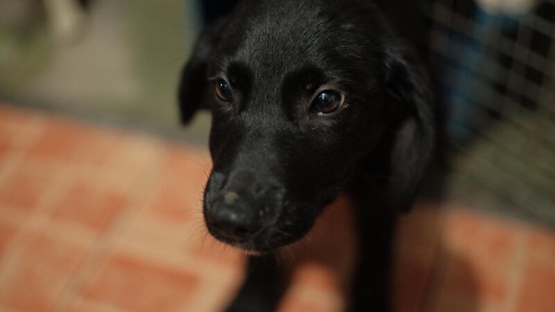 Welcome to the family