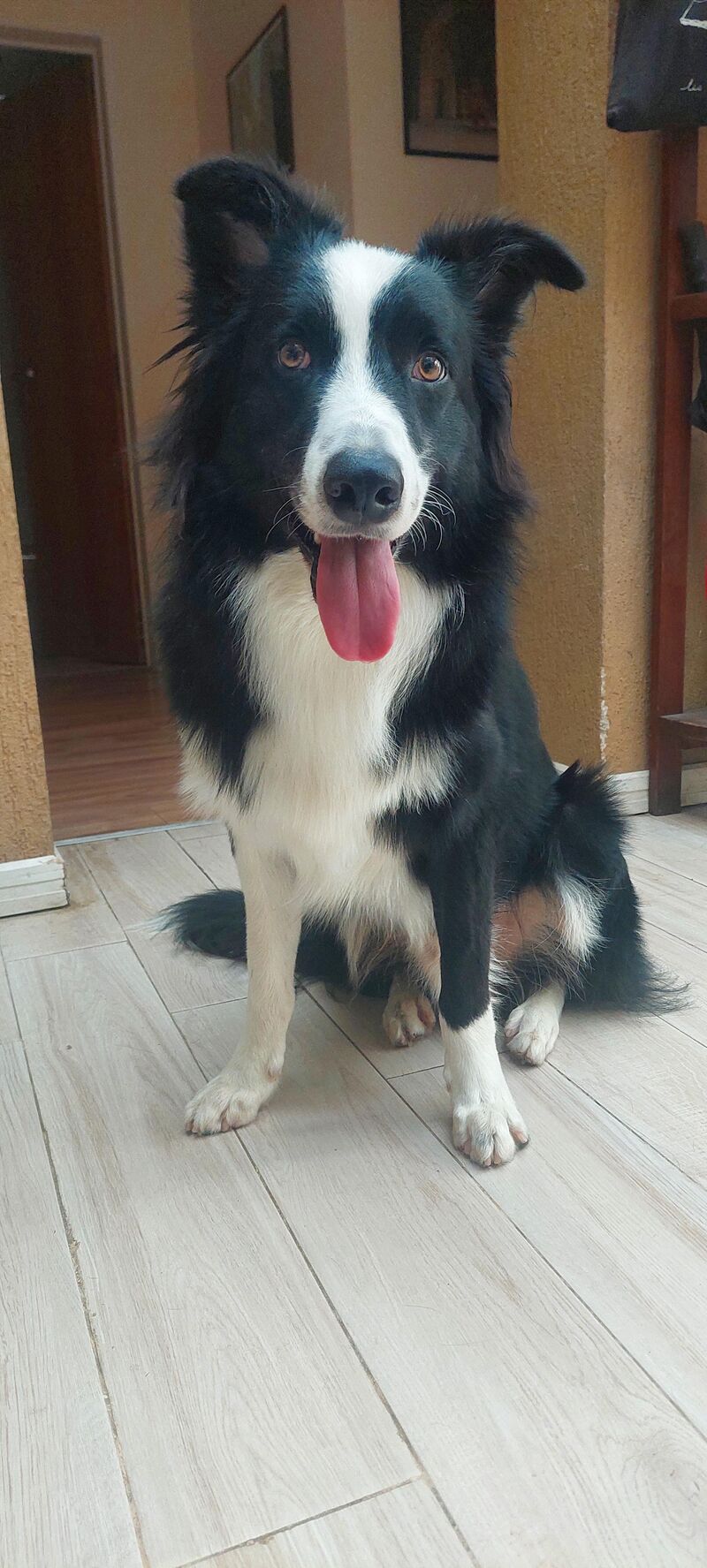 Carver is a full year old!