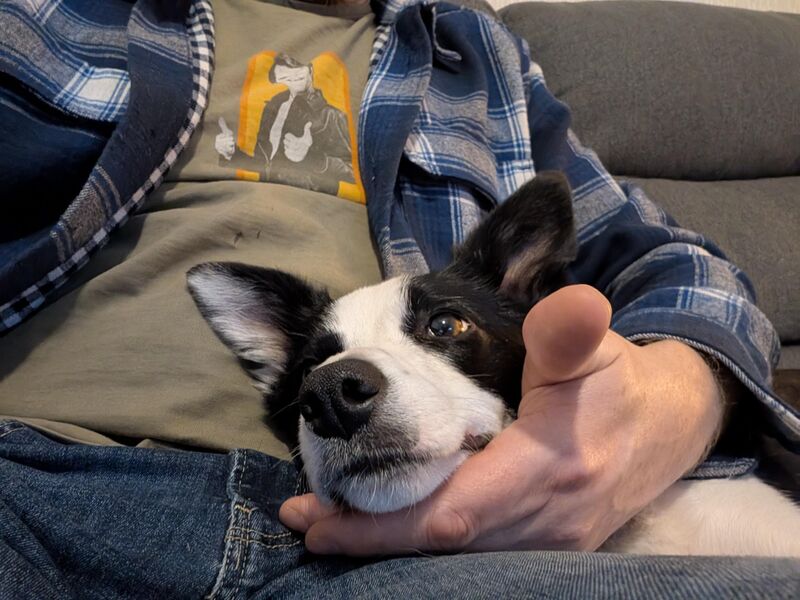 Well, guess I'm staying here now