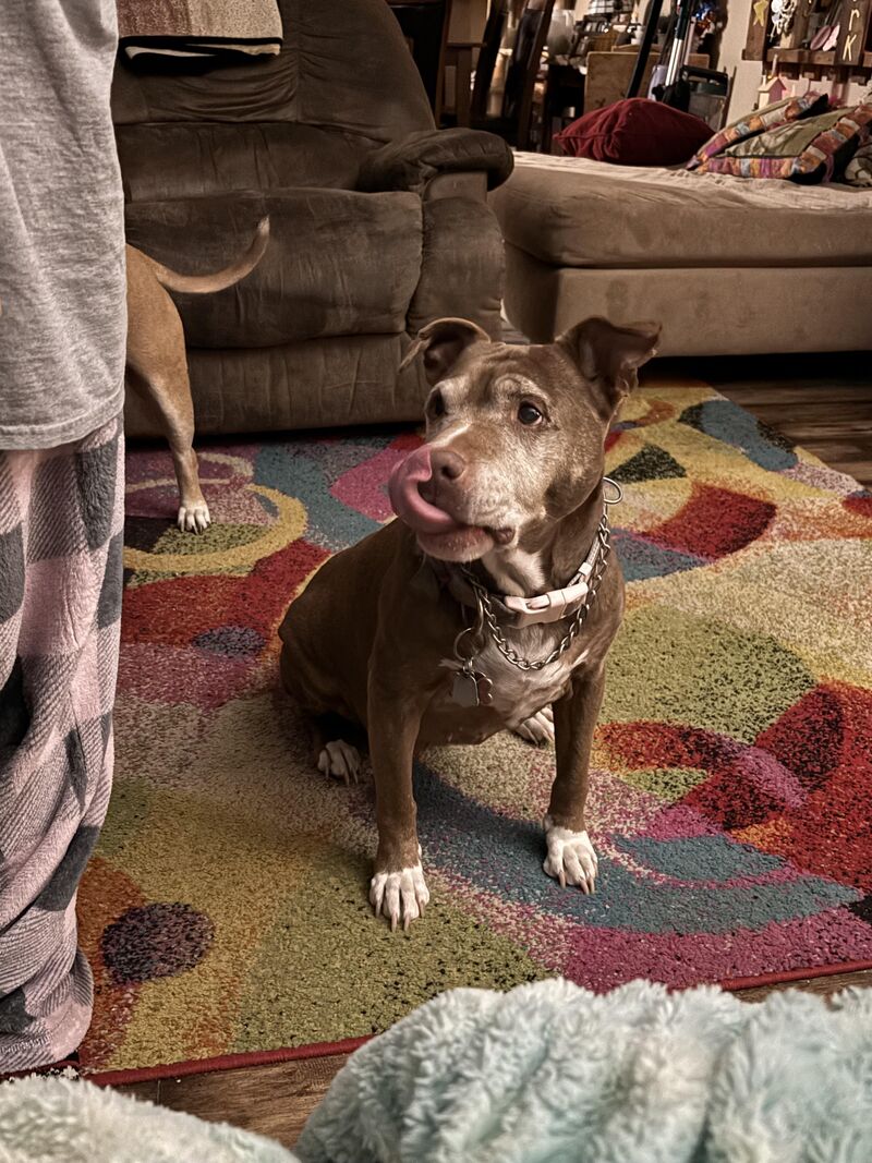 Mama begging for my acid reflux pills