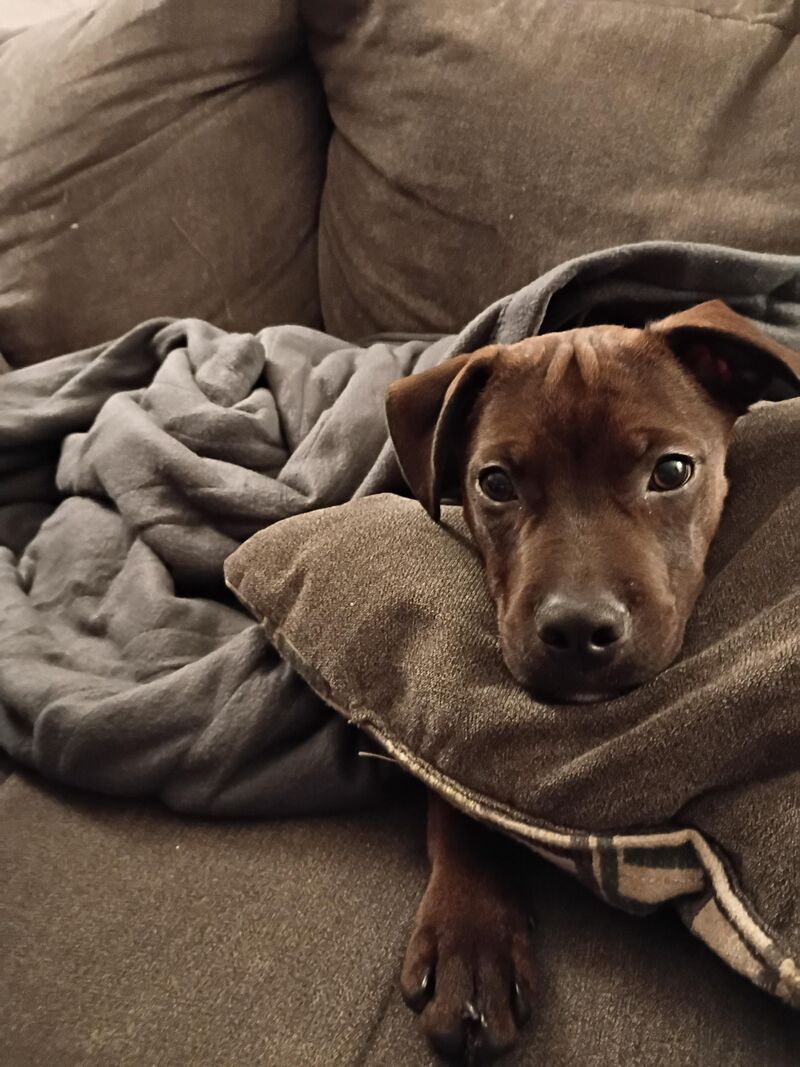 Look at this cold blooded killer