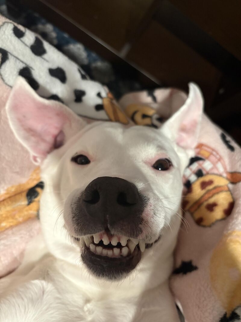 She’s so precious, pink, and has the pearliest whites