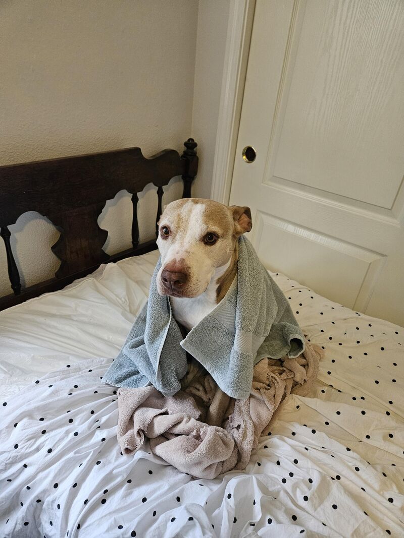 She insisted on going on a walk in the rain