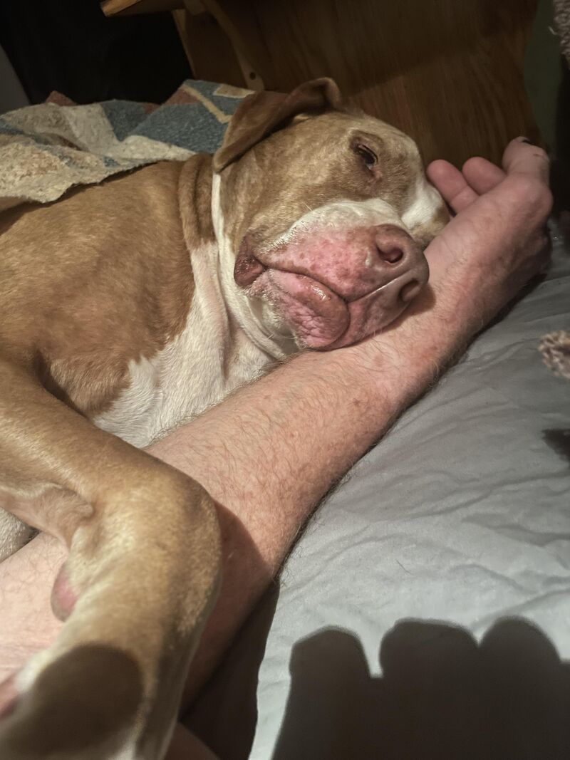 I wish I could tell him I miss the rain and when it was cold