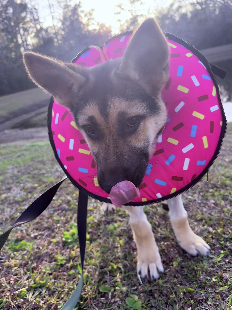 My lil donut head