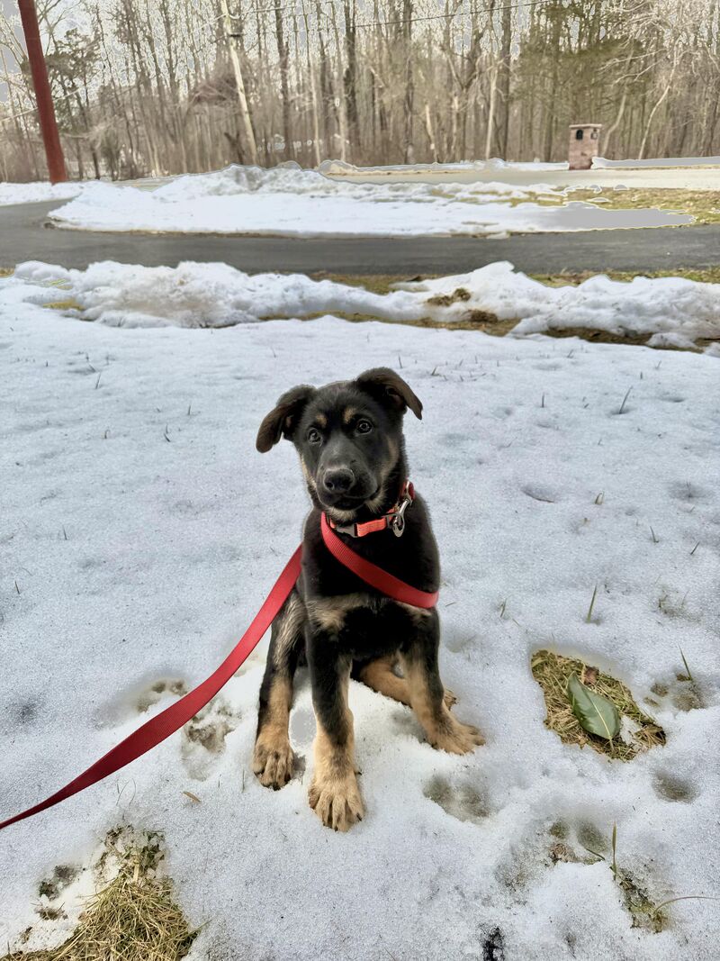 I’ve been a stalker for a while…