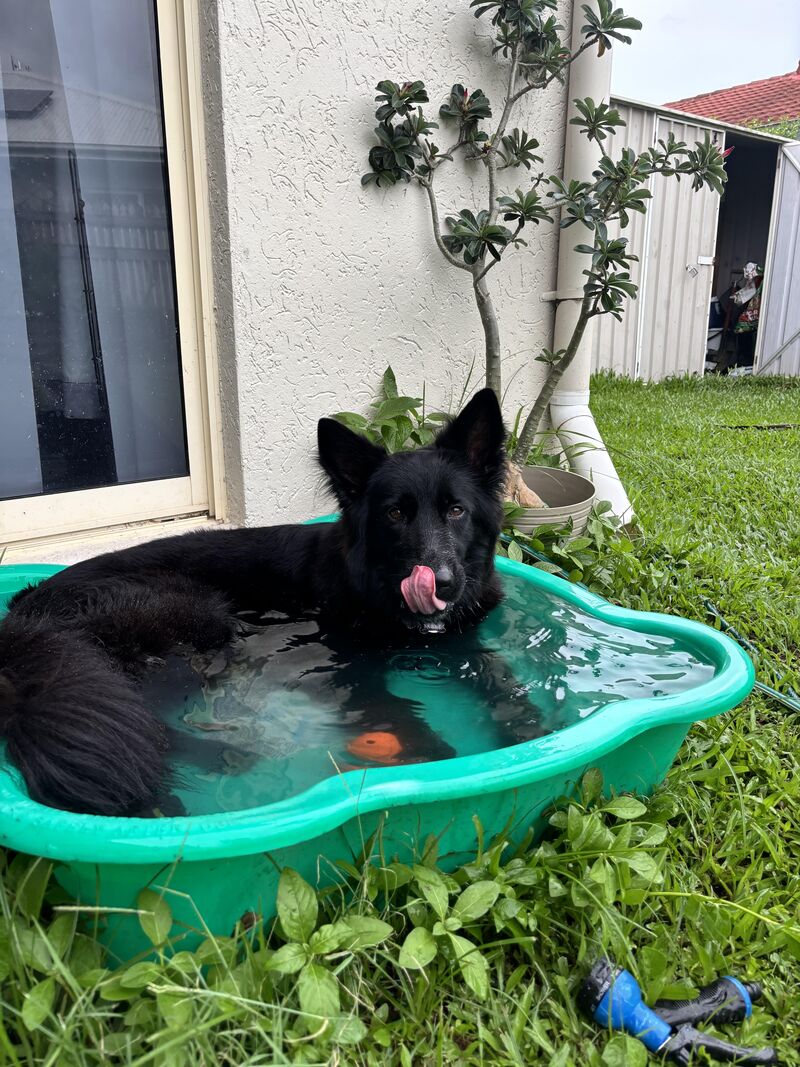 Obsessed with swimming is an understatement 💁🏻‍♀️