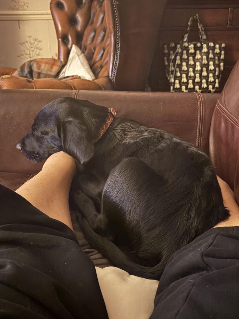 Is this love? ❤️