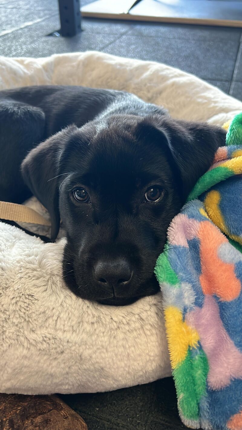 My boy is the best boy