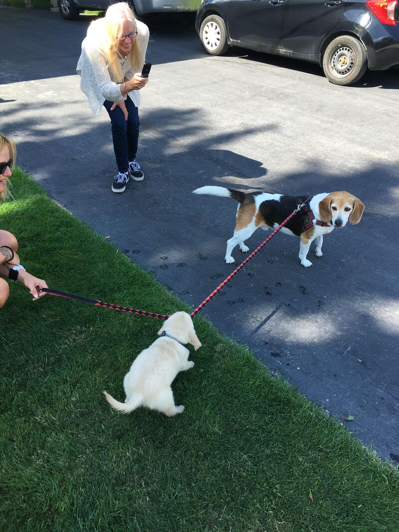 Gordy’s got yeh day. With his former big brother and mentor Snoopy.