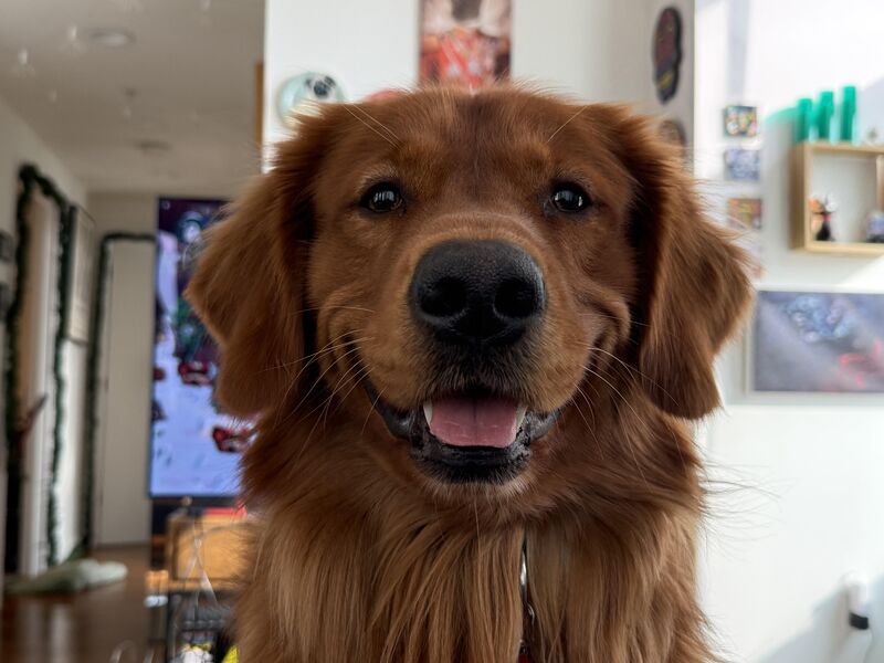 How’s his cheeky smile