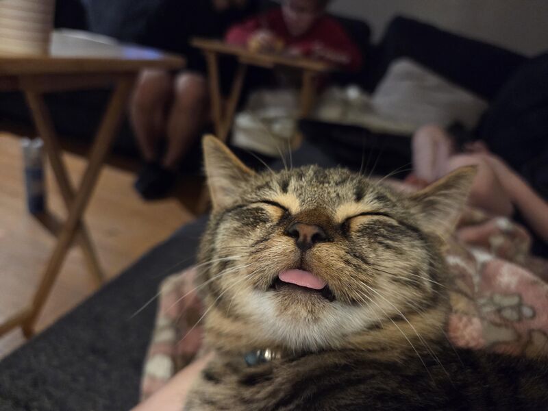 This is Complaint Department. He bleps all the time.