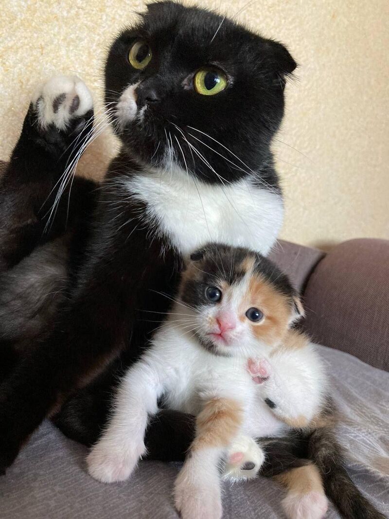 Mia and her mom Aiki🥰