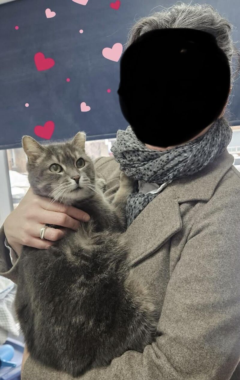 A feel good story from our shelter. Someone recently found a cat and, because she had a microchip, we were able to reunite her with her human. ❤️❤️❤️