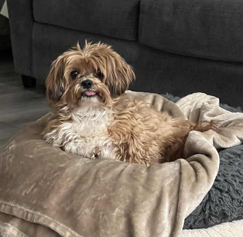 My Handsome Boy ❤️