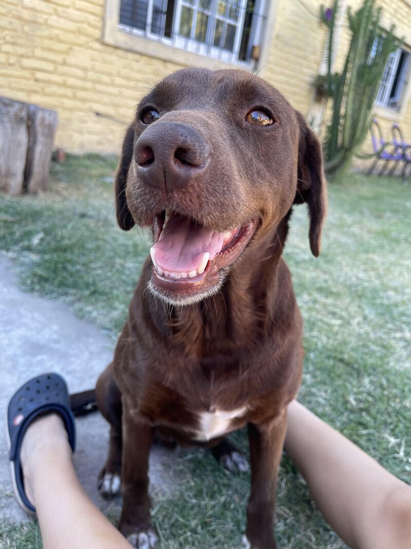 That smile says everything 🥰💫