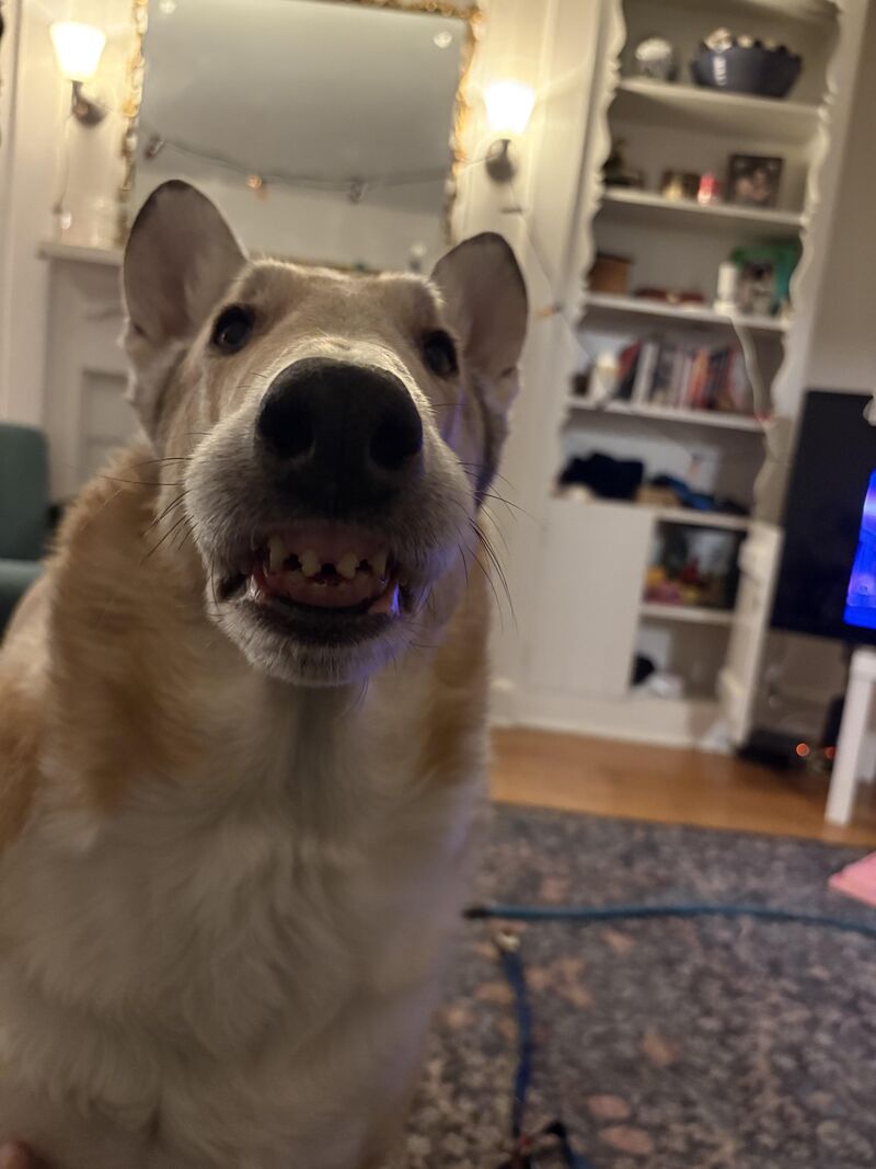 Moon has a beautiful smile