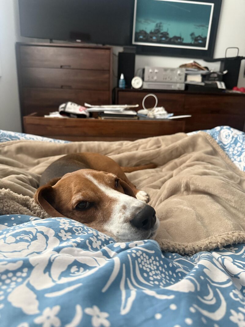 Cure For Loneliness?