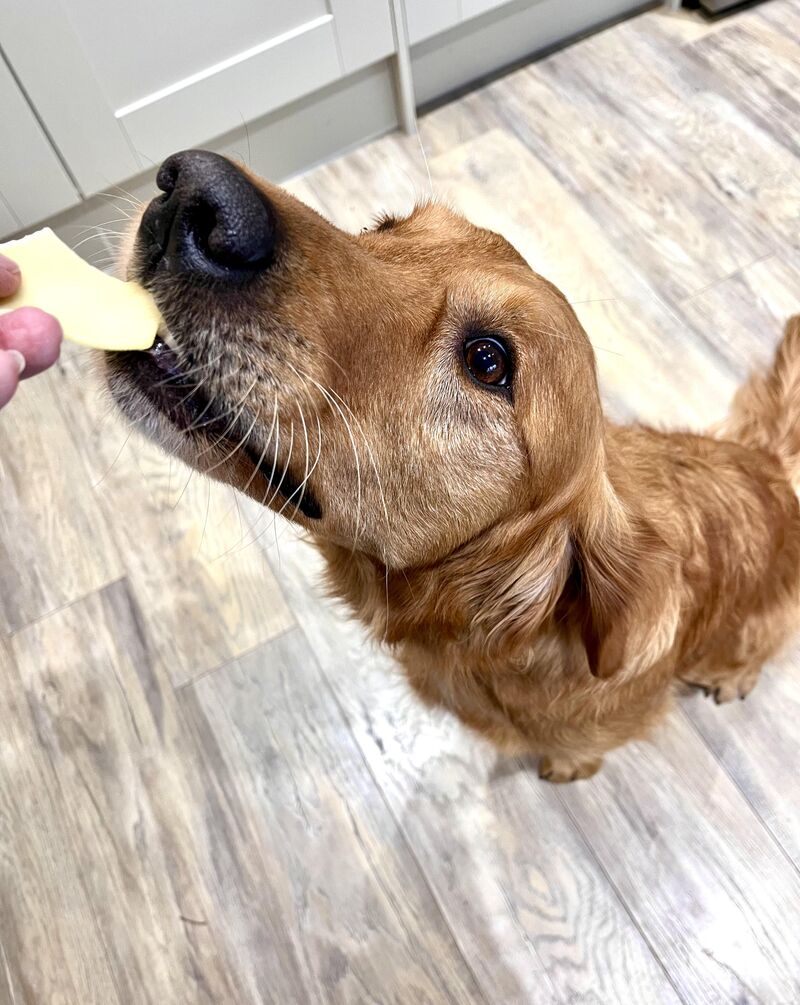 Gotta pay the cheese tax