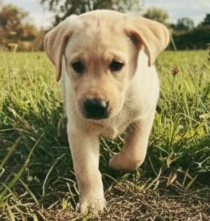 Finding some little friends 🤭❤️