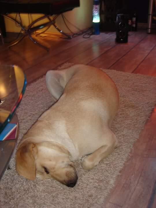 I don't know.... It seems to be comfortable.