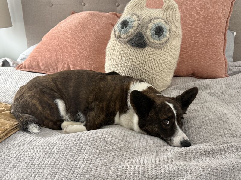 it’s right behind me isn’t it?