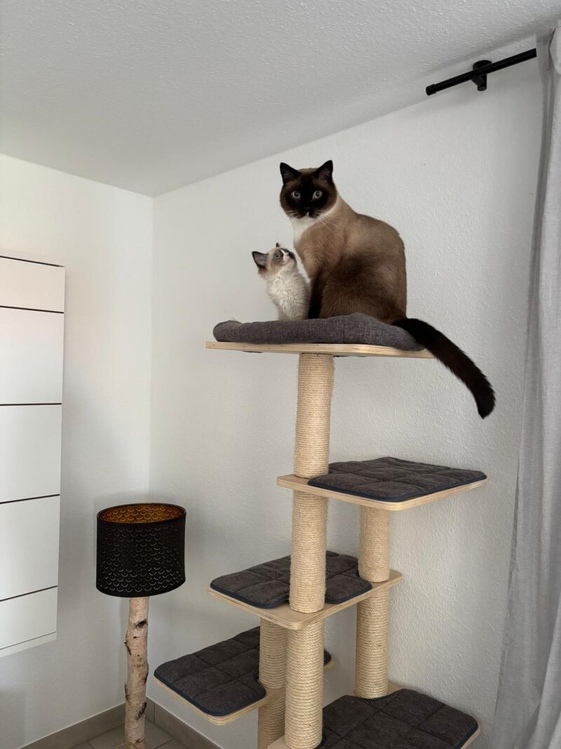 I think he likes him