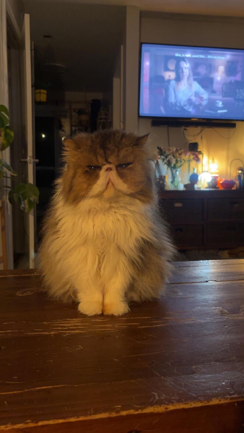 He’s telling me it’s bedtime