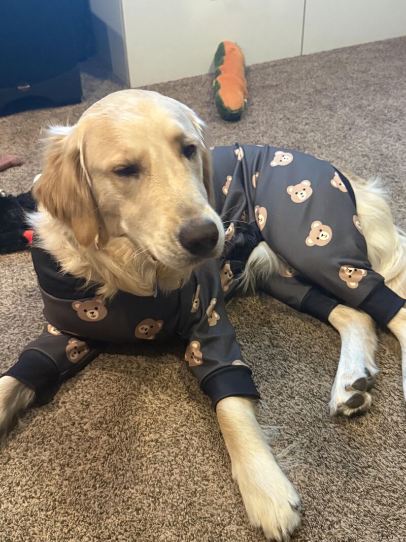 Boba does not enjoy the late night Olympics schedule.