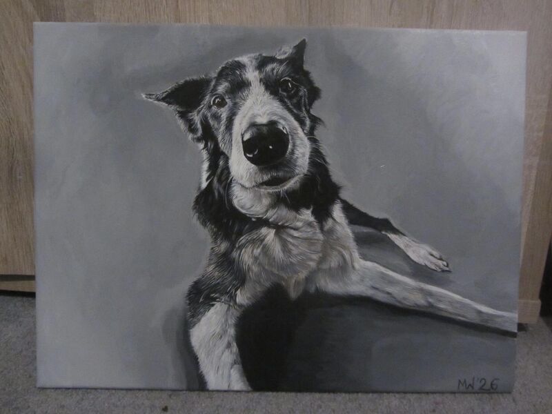 I’m a pet artist - sharing my latest Border Collie painting. Acrylic on canvas. Feedback welcome!