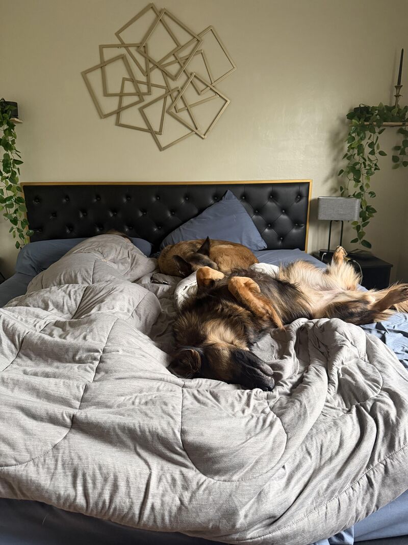 9:30 AM this morning