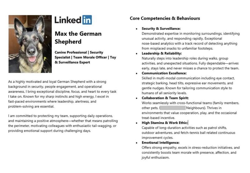 Max’s LinkedIn