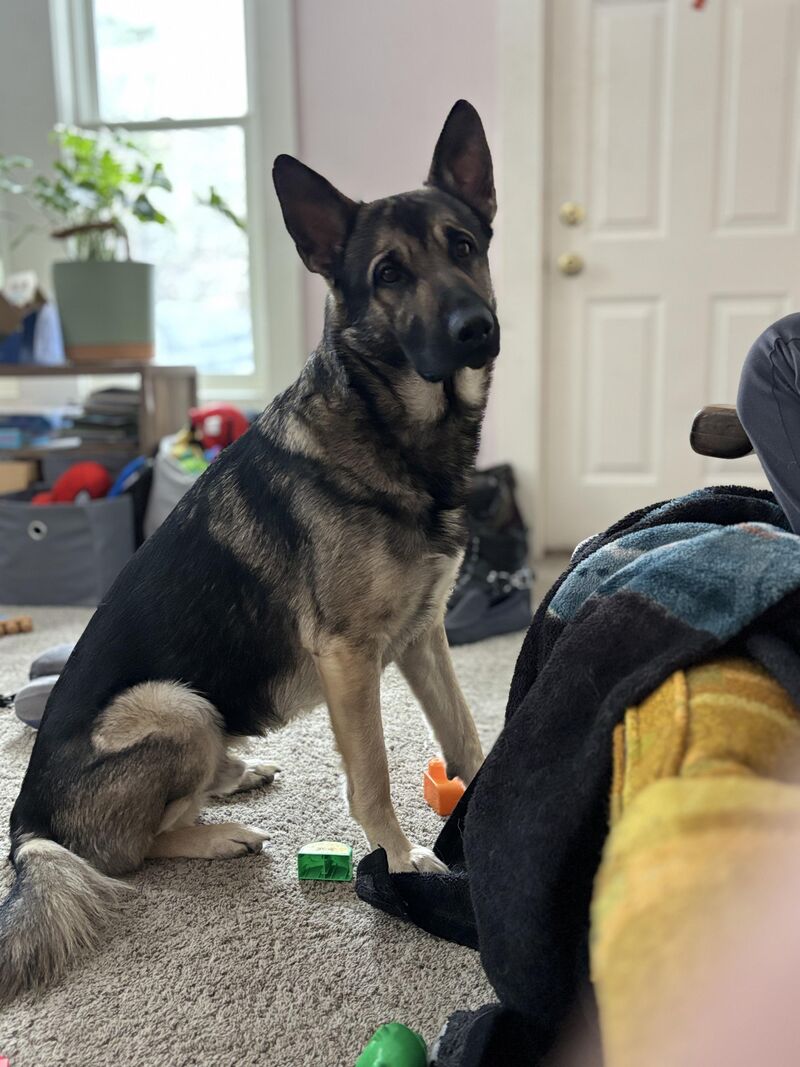 what am i gonna have to do to get some of that pepperoni?-Tanis