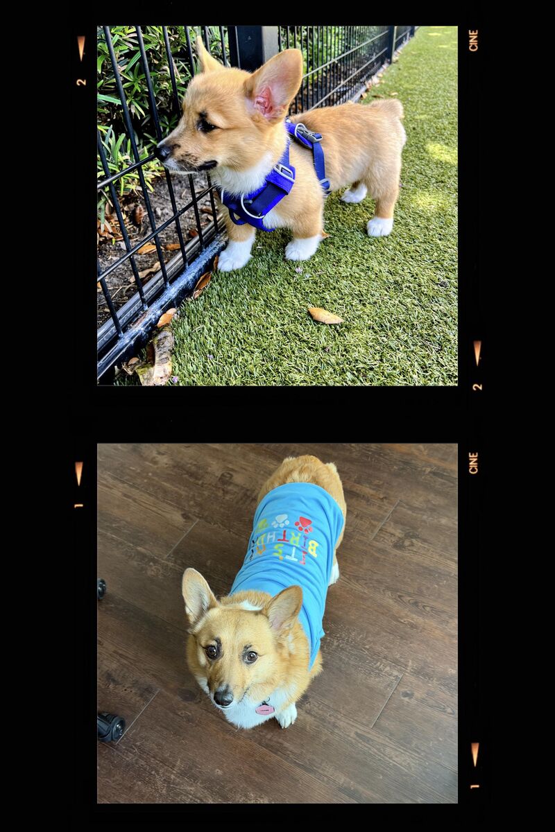 Franky poo poo (Then vs Now)