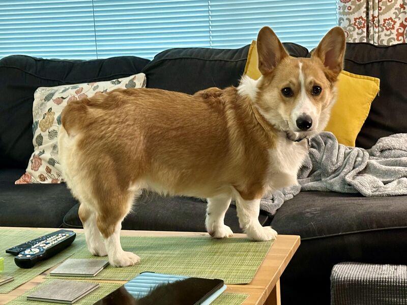 Turn your back on ‘em for one second