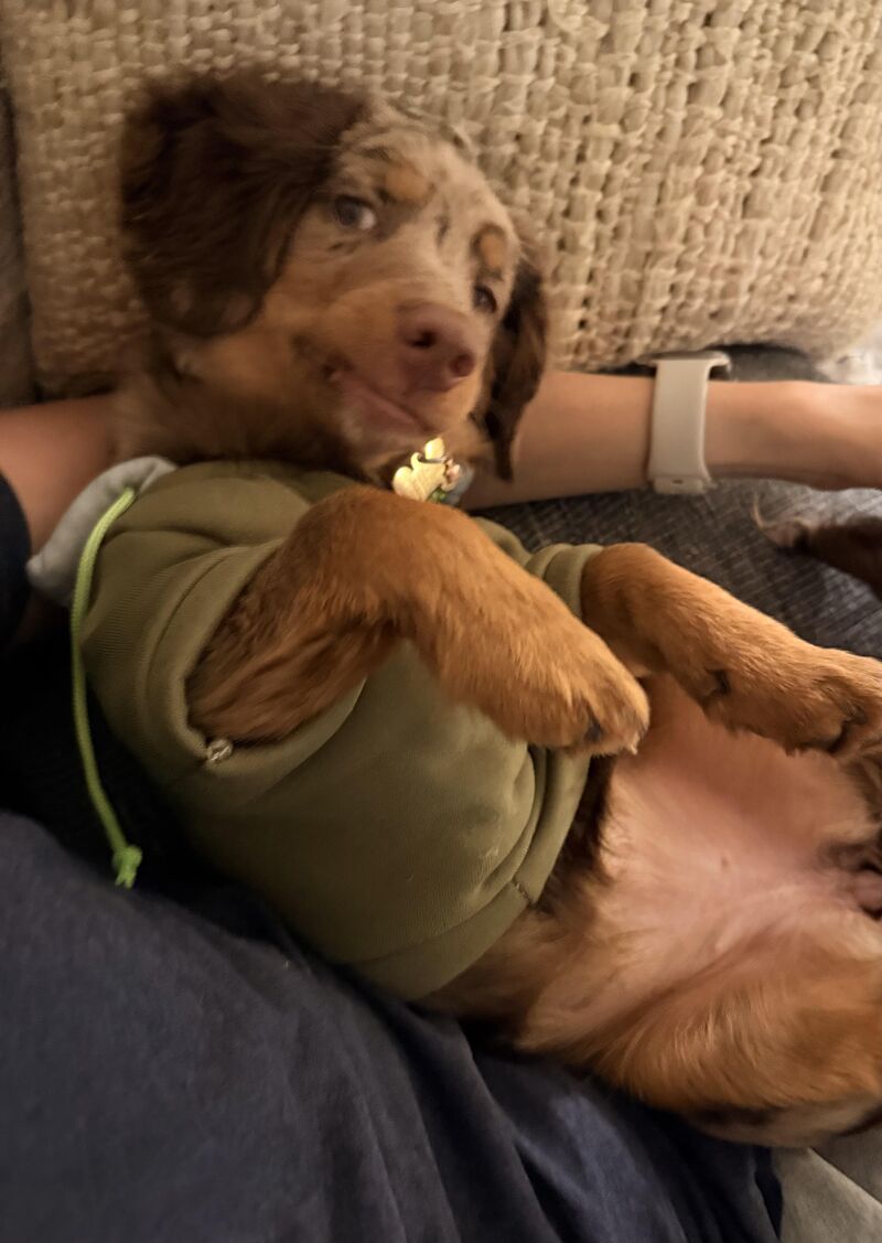 When I eat the last chip she thought she was getting