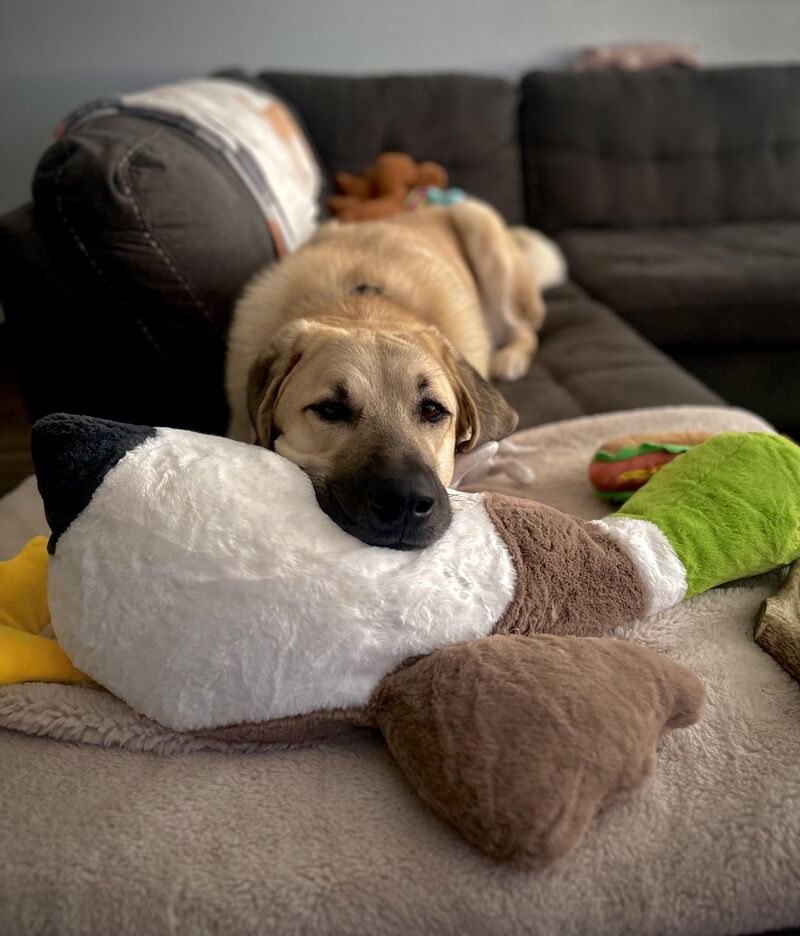 always with his duckie 🦆🐾🫶🏻